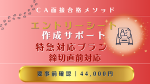 CAエントリーシート作成サポート特急プラン