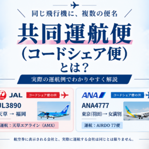 共同運航便（コードシェア便）とは？元JAL国際線CAが乗務経験から解説｜便名・機材・乗務員が違う仕組み